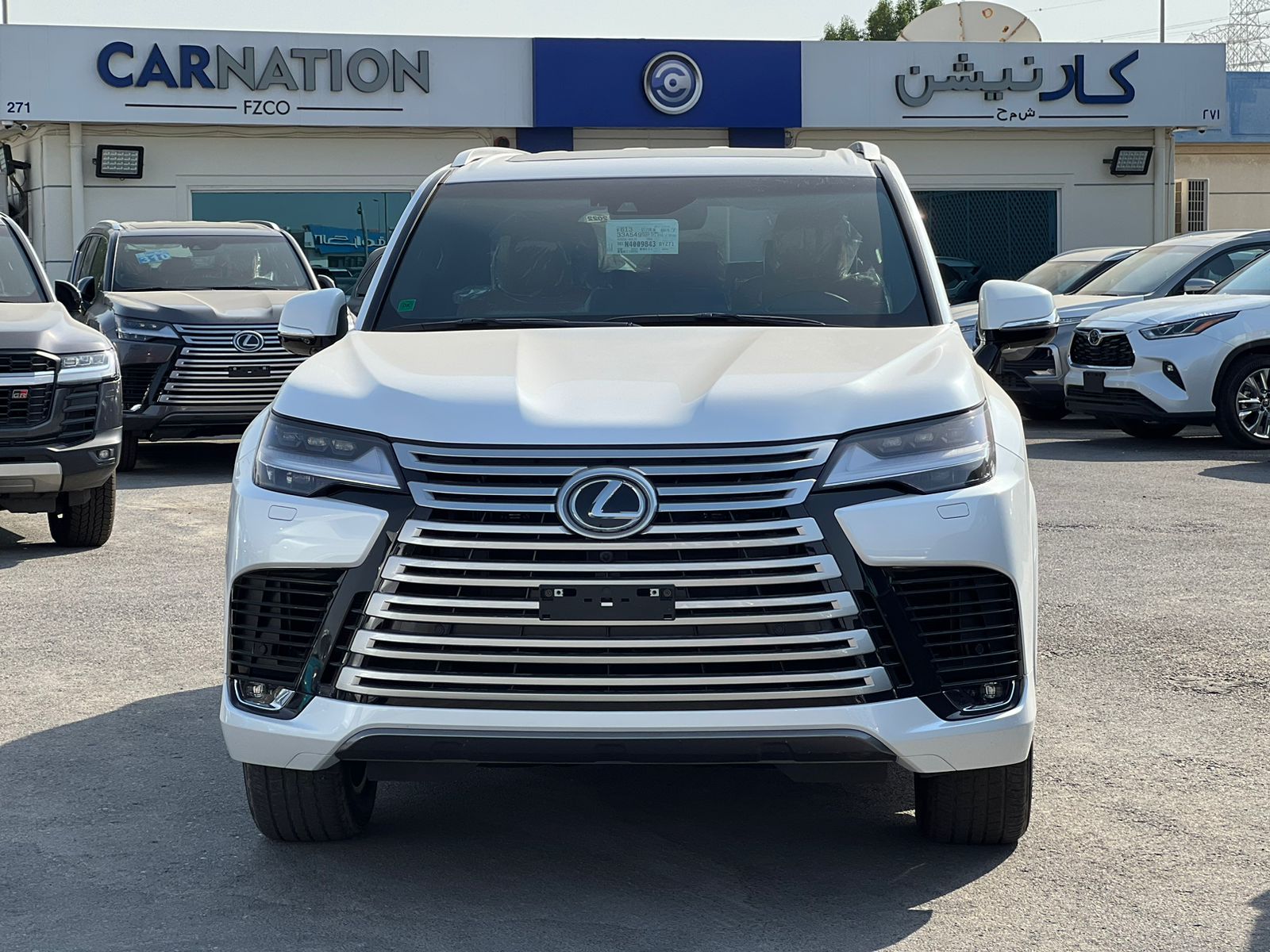 carnation's Product Image