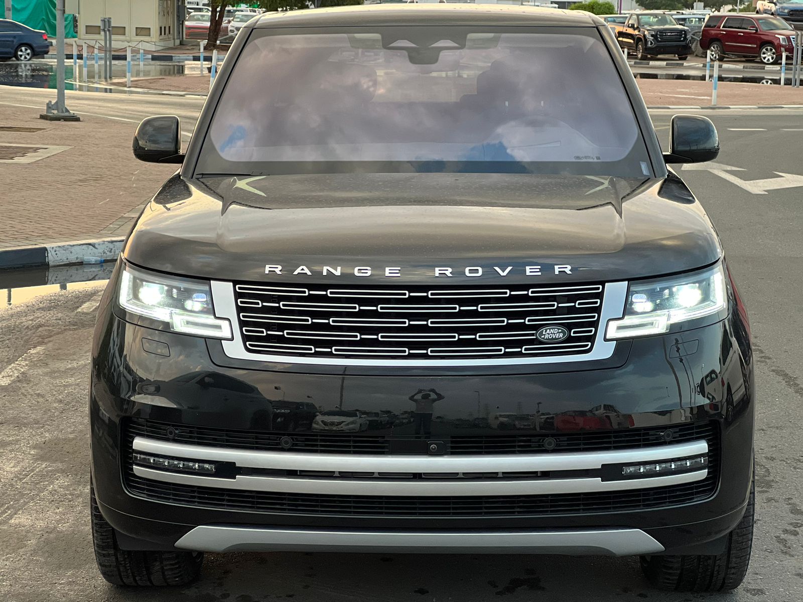 carnation's Product Image