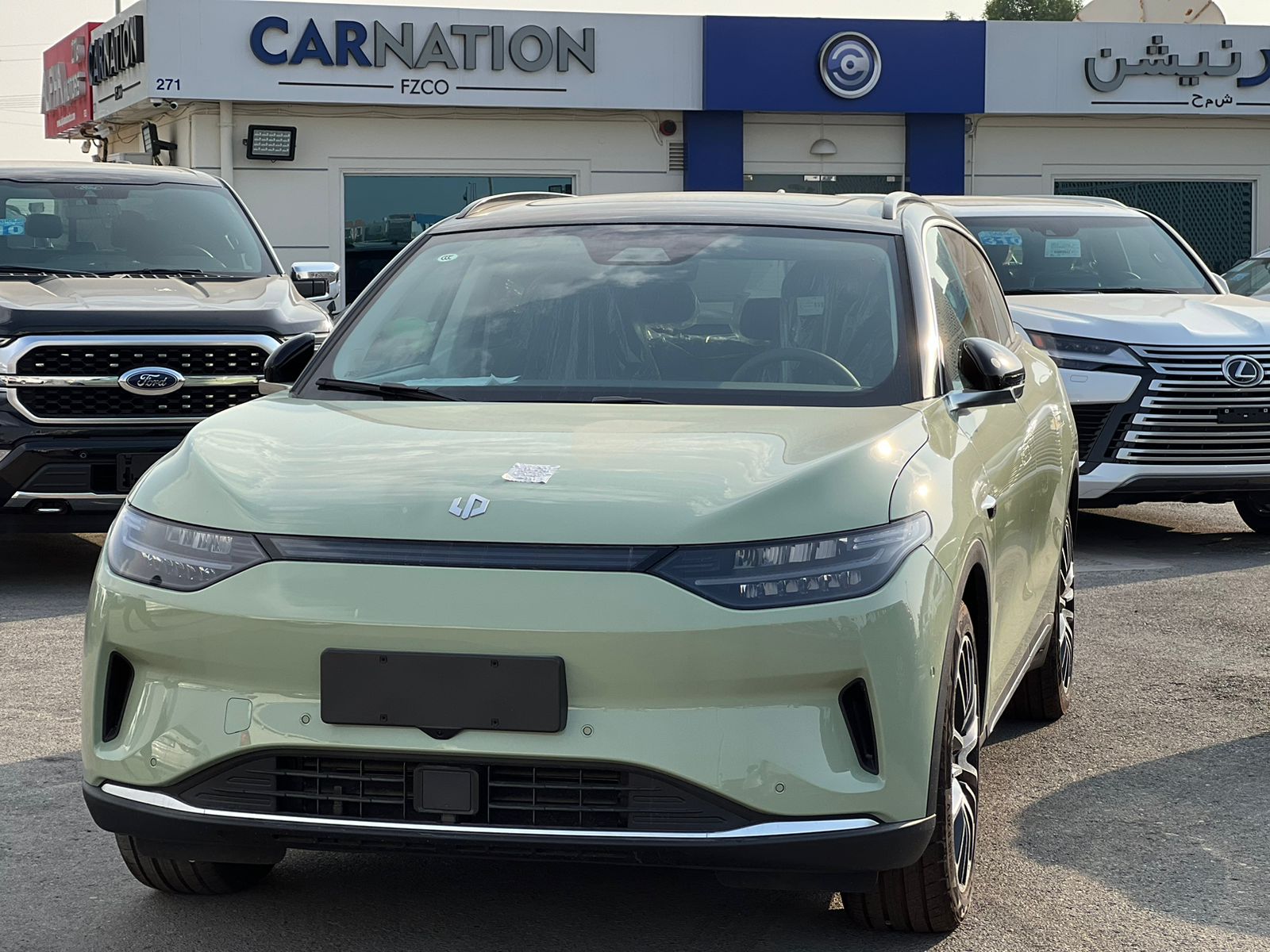 carnation's Product Image