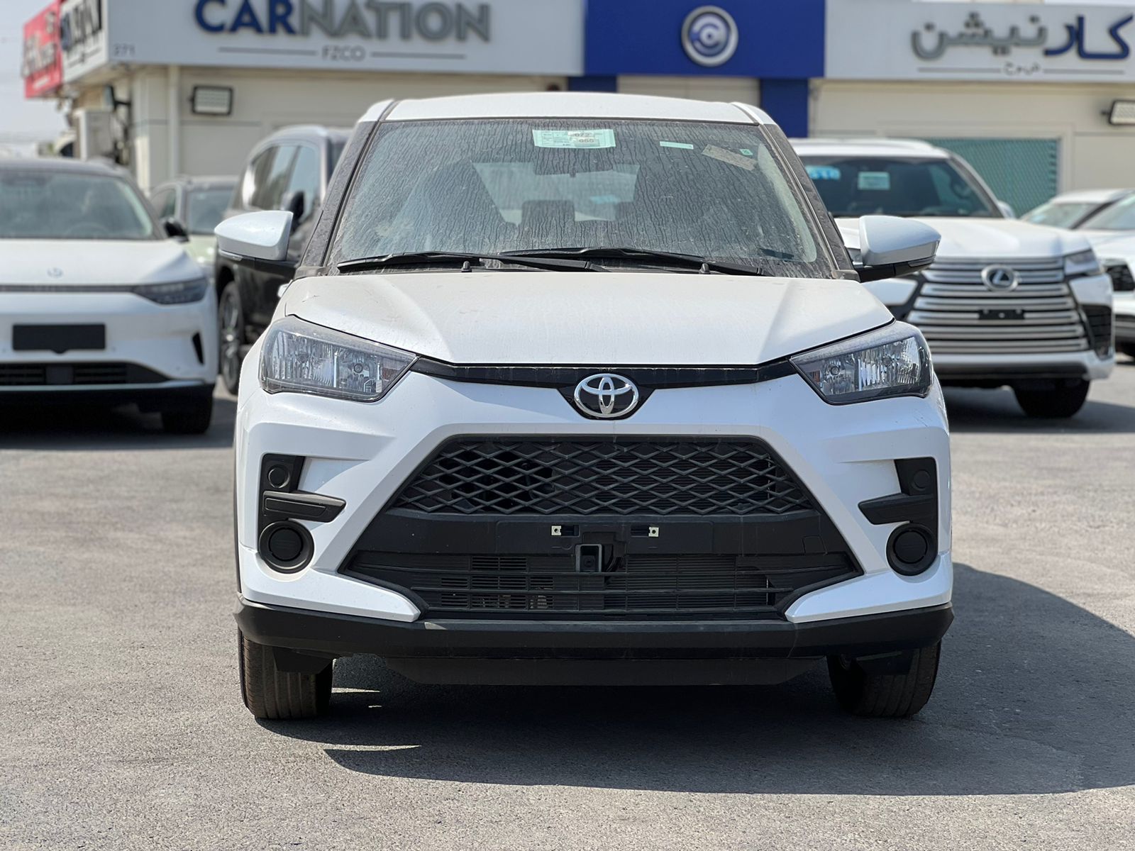 carnation's Product Image