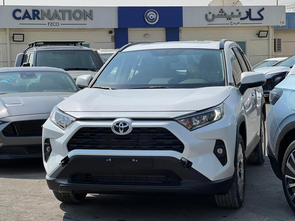 carnation's Product Image