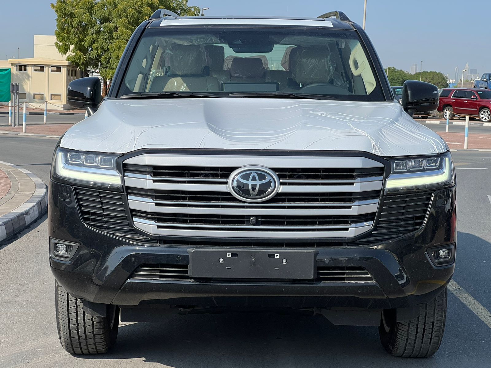 carnation's Product Image