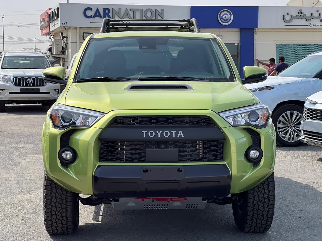 carnation's Product Image