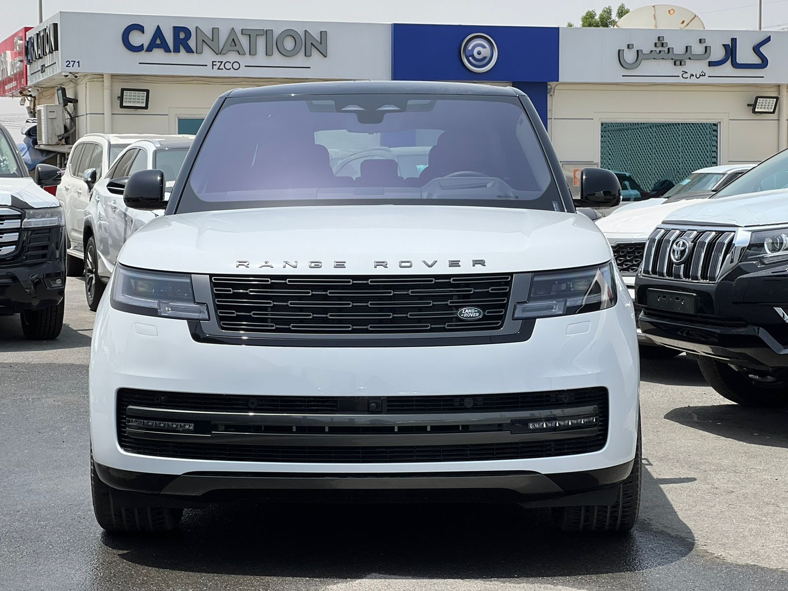 carnation's Product Image