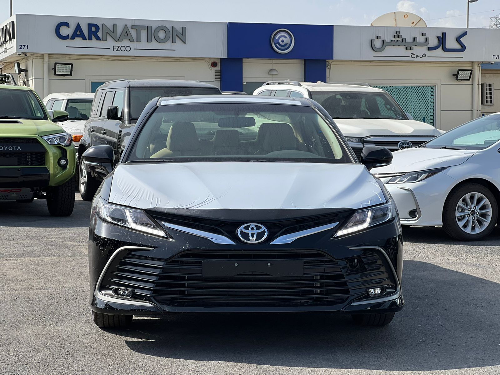 carnation's Product Image